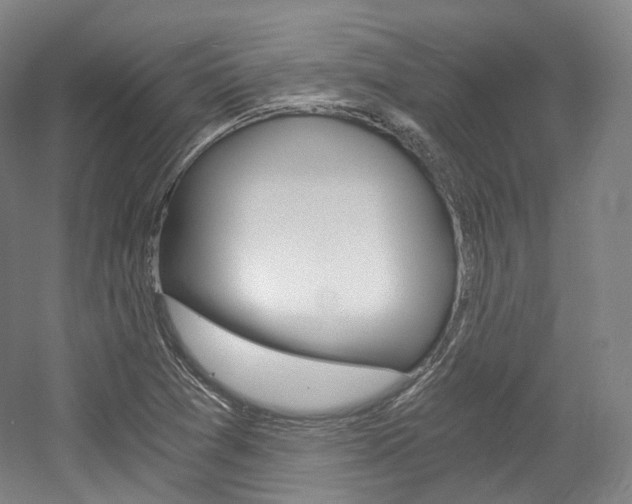 X0000056031361200508190941
