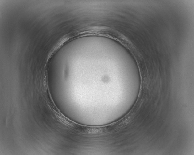 X0000056031362200508190941
