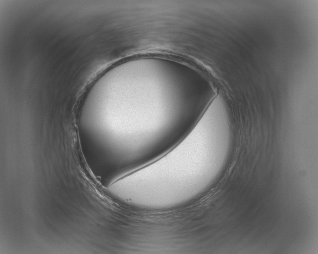 X0000056031363200508190941