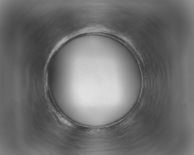 X0000056031366200508190941
