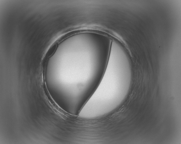 X0000056031368200508190941