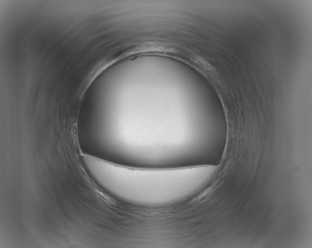 X0000056031369200508190941