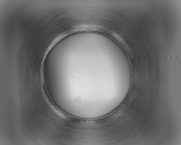 X0000056031370200508190941