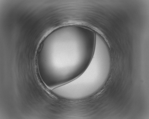 X0000056031373200508190941