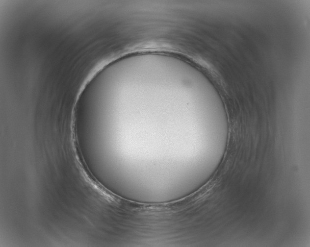 X0000056031374200508190941