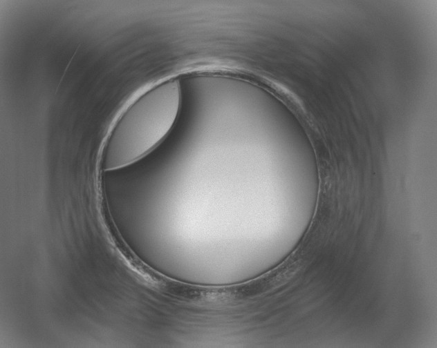 X0000056031375200508190941