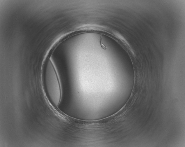 X0000056031376200508190941