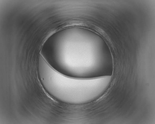 X0000056031377200508190941