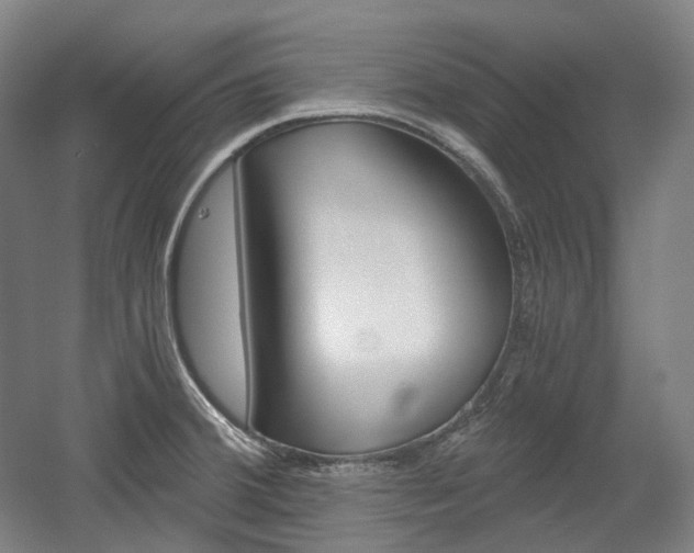X0000056031380200508190941