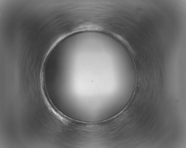 X0000056031383200508190941