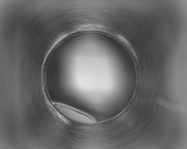 X0000056031384200508190941