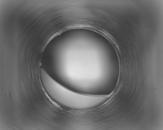X0000056031385200508190941