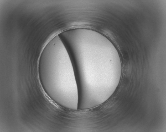 X0000056031386200508190941