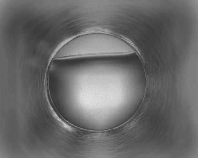 X0000056031387200508190941