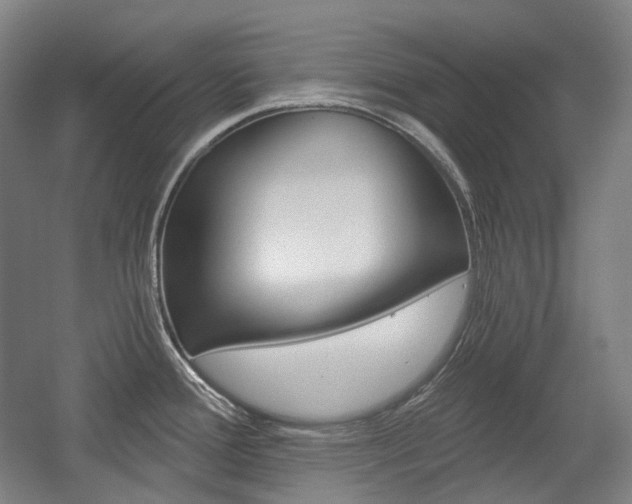 X0000056031388200508190941