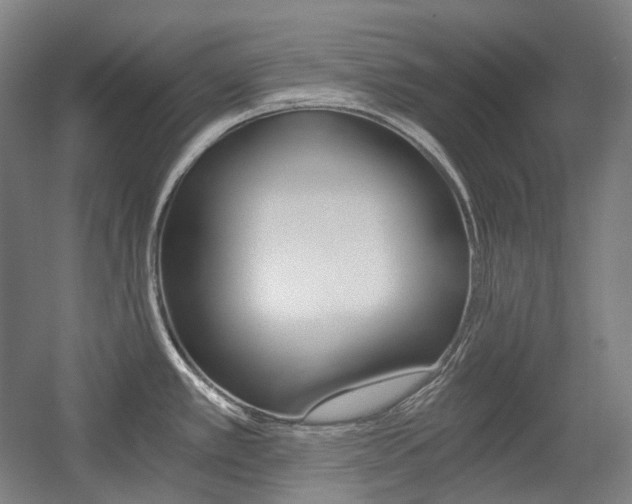 X0000056031389200508190941