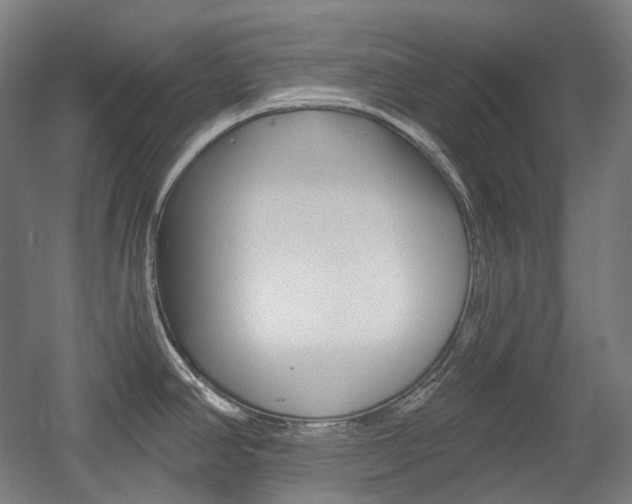 X0000056031390200508190941