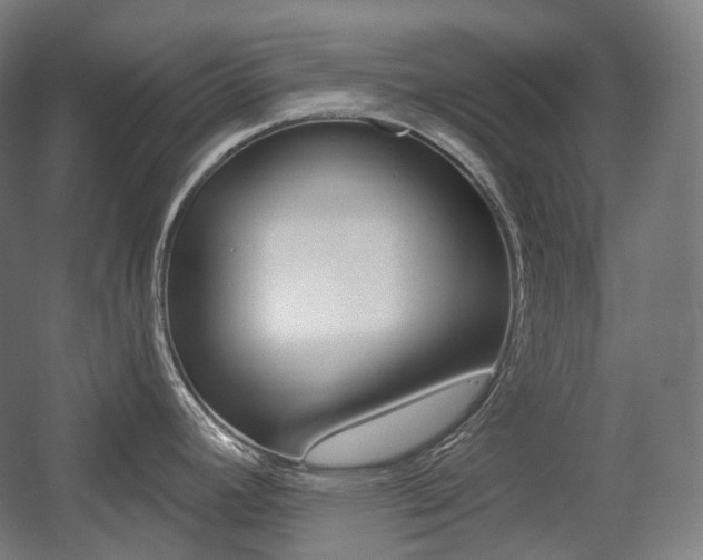 X0000056031392200508190941