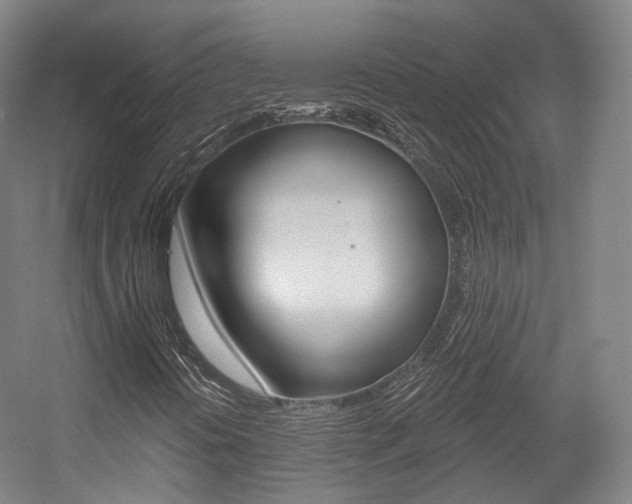 X0000056031394200508190940