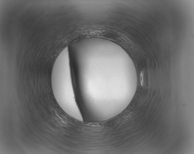 X0000056031395200508190940
