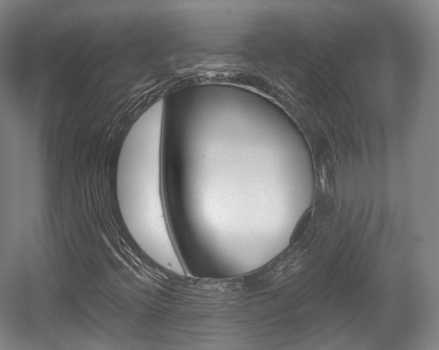 X0000056031396200508190940