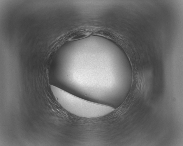 X0000056031397200508190940