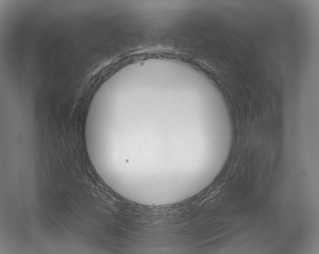 X0000056031398200508190940
