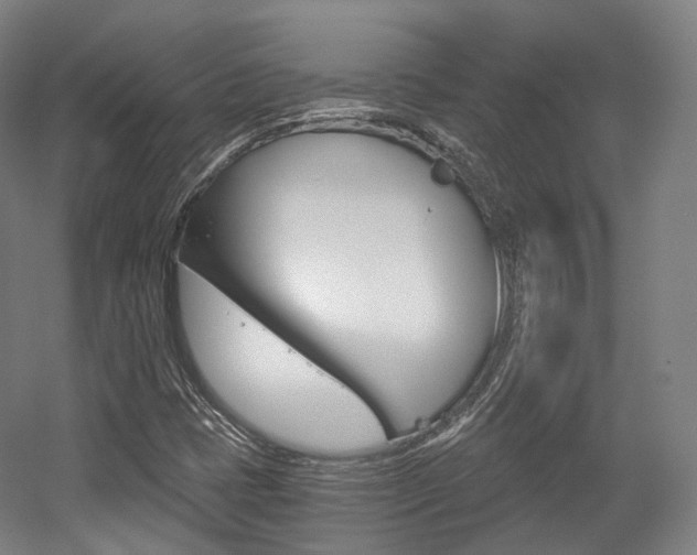 X0000056031401200508190940