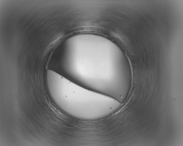 X0000056031403200508190940