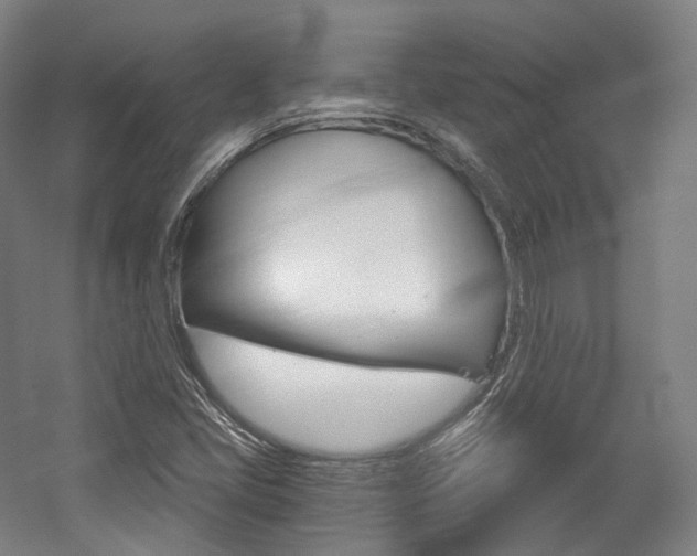 X0000056031405200508190940