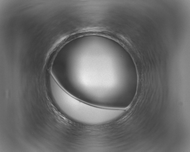 X0000056031406200508190940