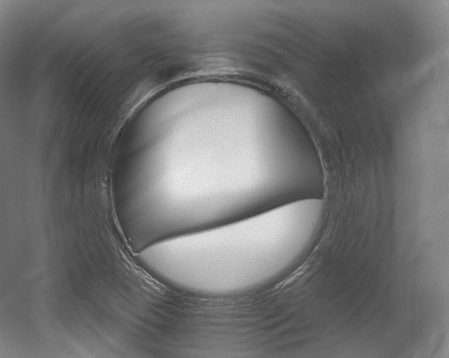 X0000056031409200508190940