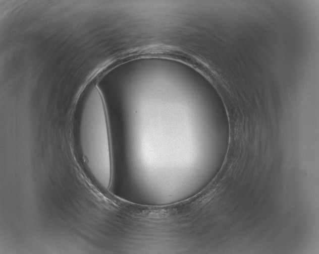 X0000056031410200508190940