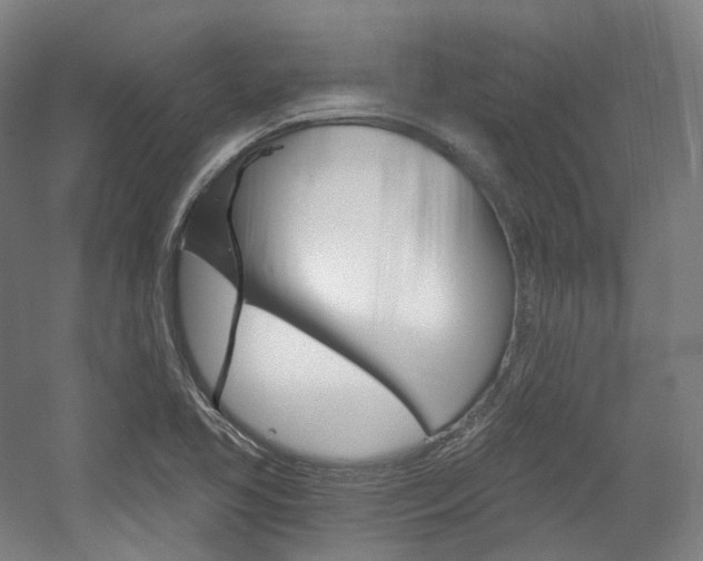 X0000056031413200508190940
