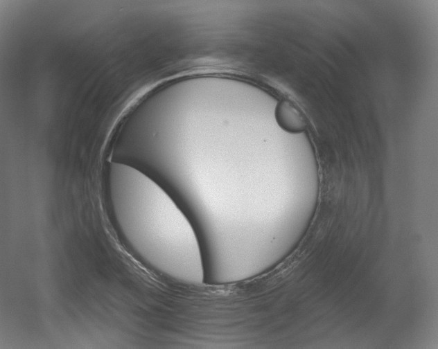 X0000056031415200508190940