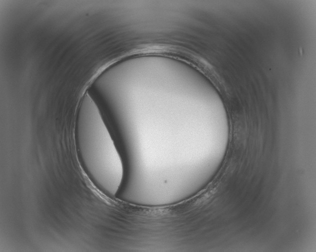 X0000056031417200508190940