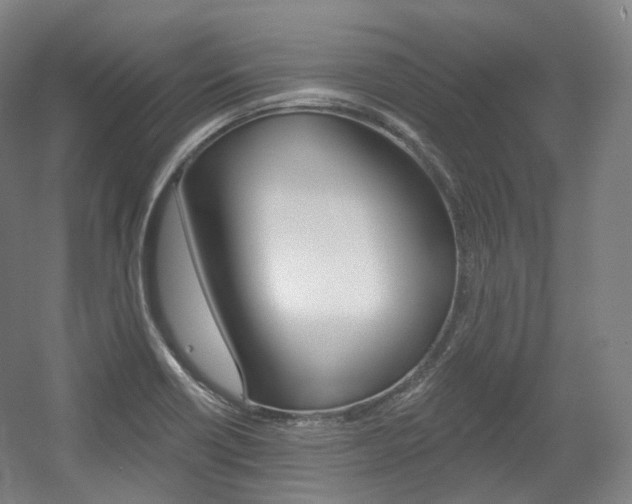 X0000056031418200508190940
