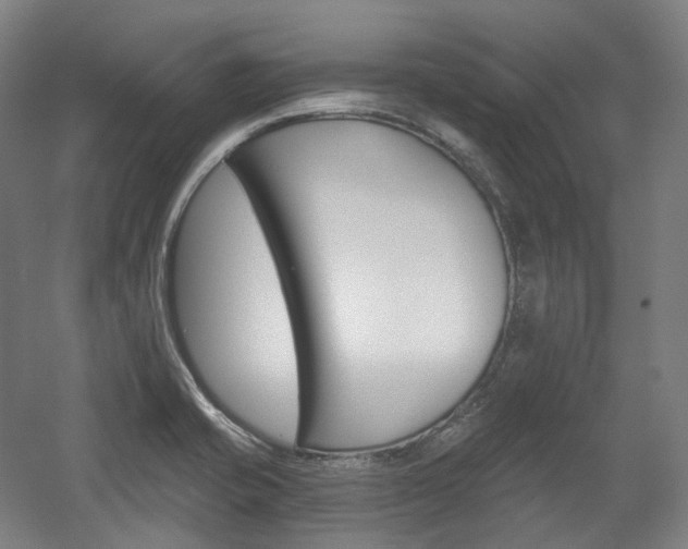 X0000056031421200508190940
