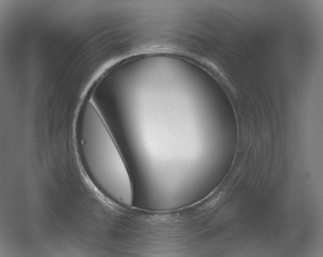X0000056031422200508190940