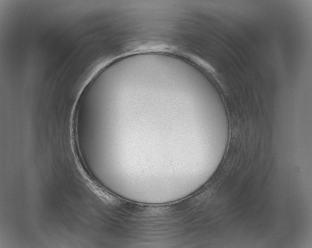 X0000056031423200508190940