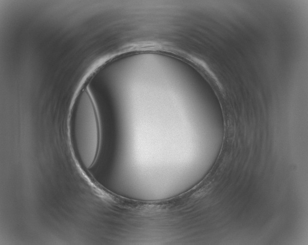 X0000056031424200508190940