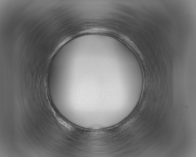 X0000056031425200508190940