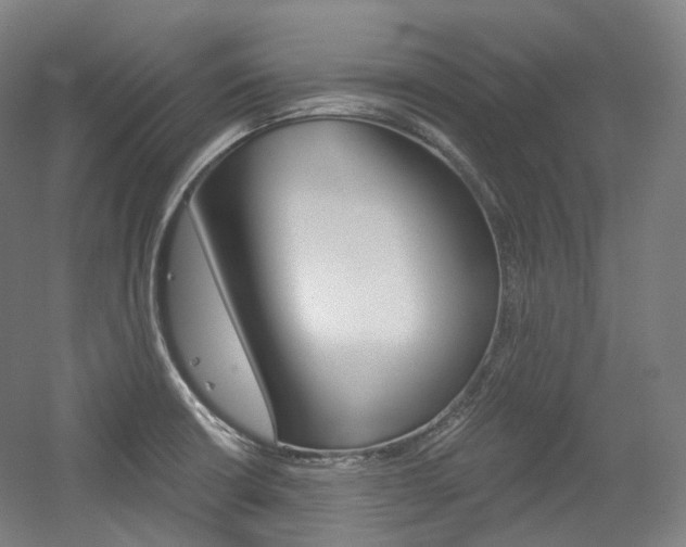 X0000056031426200508190940