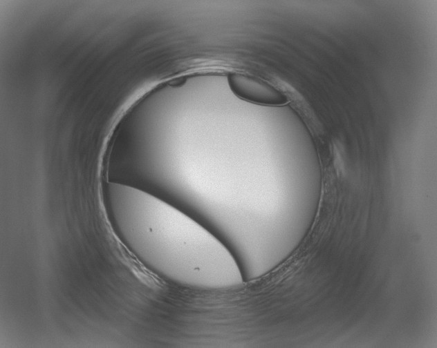X0000056031427200508190940