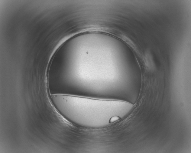 X0000056031428200508190940