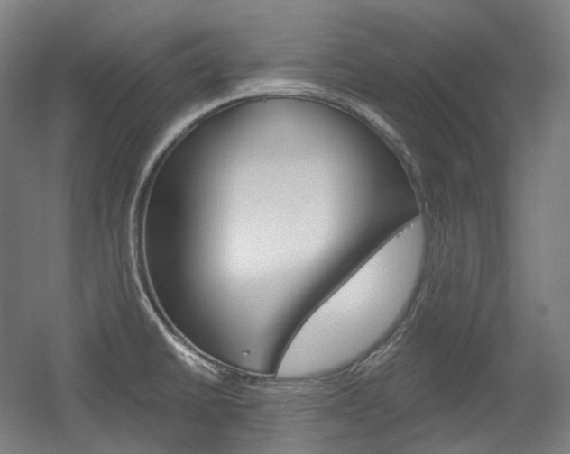 X0000056031430200508190940
