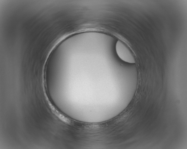 X0000056031431200508190940