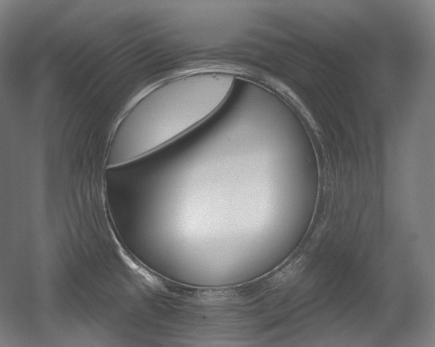 X0000056031433200508190940