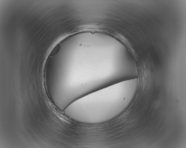 X0000056031435200508190940