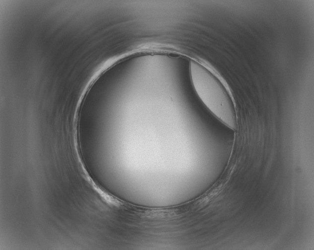 X0000056031437200508190941